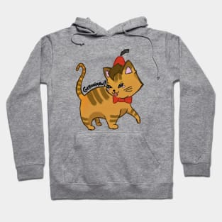 11th doctor cat Hoodie